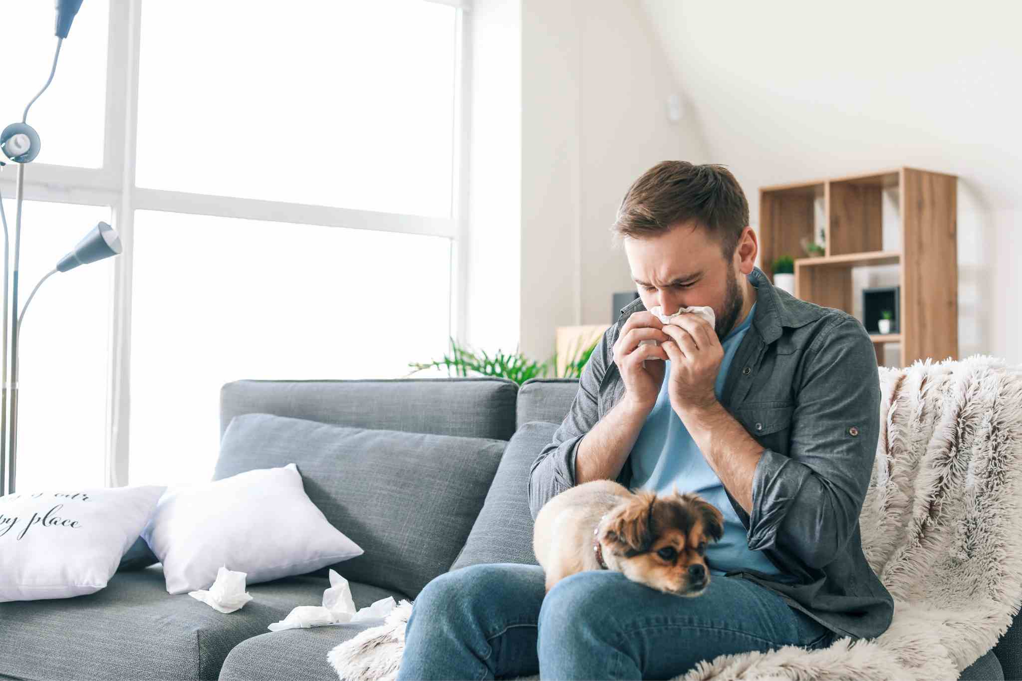 persona con alergia en sofá con perro